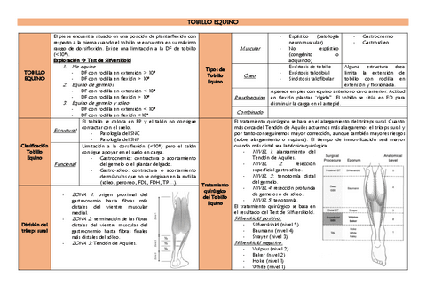 TOBILLO-EQUINO.pdf