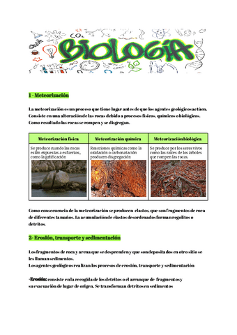 Documento-sin-titulo-19.pdf