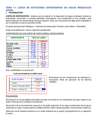 TEMA-11-2022.pdf
