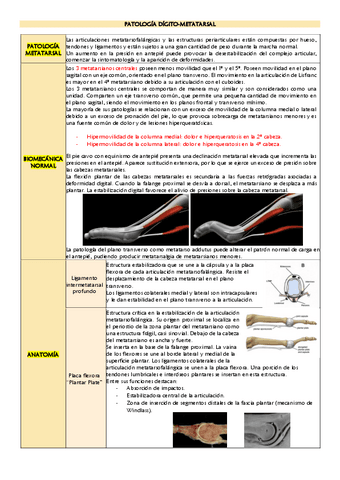 Patologia-digito-metatarsal.pdf