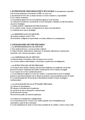 t7-geografia-SECTOR-TERCIARIO.pdf