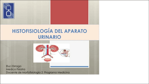 Fisiología del aparato urinario.pdf