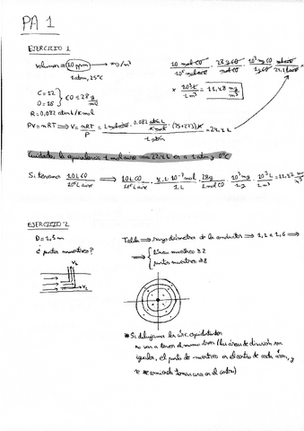 PAsambiental.pdf