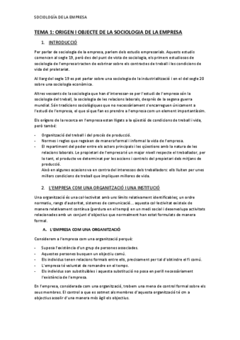 TEMA-1-ORIGEN-I-OBJECTE-DE-LA-SOCIOLOGIA-DE-LA-EMPRESA-copia.pdf