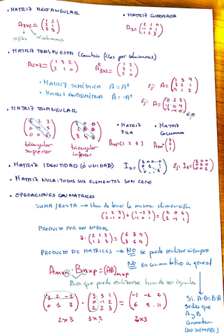Apuntes-matrices.pdf