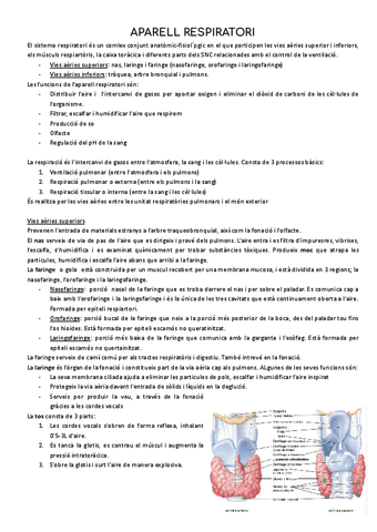 APARELL-RESPIRATORI.pdf