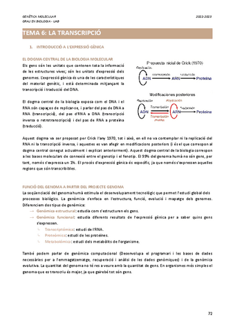Genetica-Molecular-Parcial-II.pdf