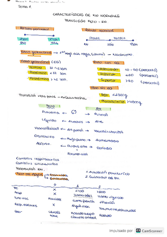 tema-1.pdf