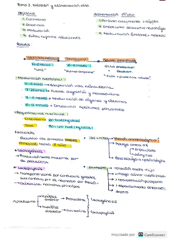 tema-3.pdf