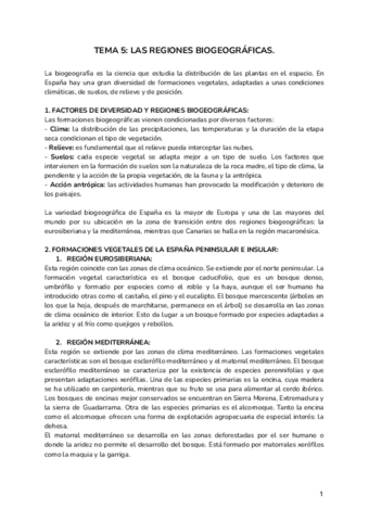 TEMA-5-GEOGRAFIA.pdf