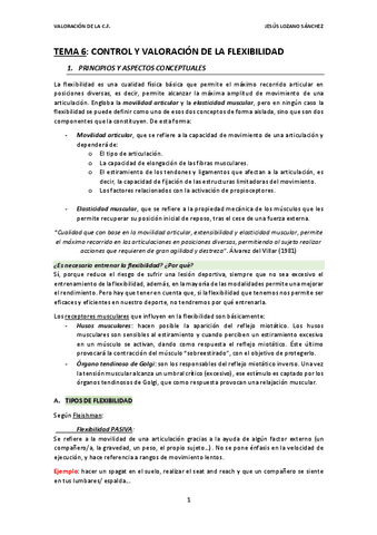 tema-6-valoracion-FLEXIBILIDAD.pdf