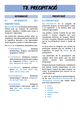 T8.-PRECIPITACIO.pdf
