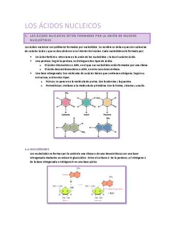 Los-acidos-nucleicos.pdf