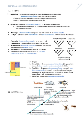 T1Filogenia.pdf