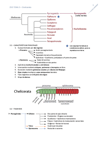 T3Chelicerata.pdf