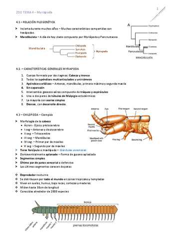 T4Myriapoda.pdf