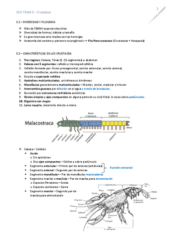 T5Crustacea.pdf