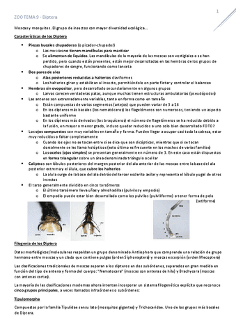 T9Diptera.pdf