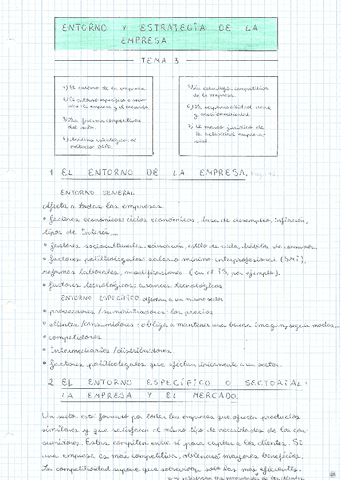 ECO3Entorno-y-estrategia-de-la-empresa.pdf