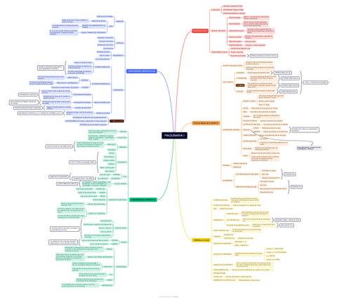 MAPA CONCEPTUAL TEORIA PRIMER PARCIAL.pdf