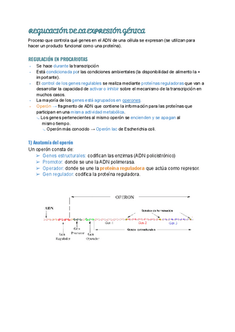 REGULACION-DE-LA-EXPRESION-GENICA.pdf