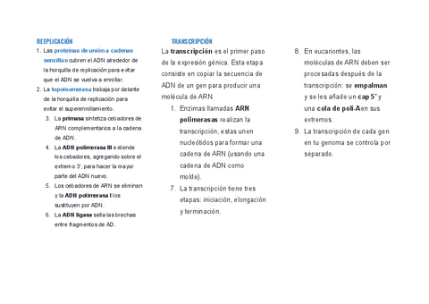 TABLA-REPLICACION-TRANSCRIPCION-Y-TRADUCCION.pdf
