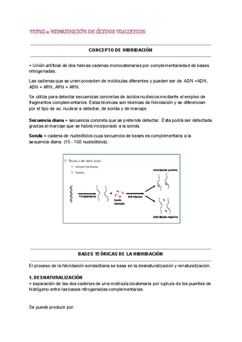 TEMA-4-HIBRIDACION-DE-ACIDOS-NUCLEICOS.pdf