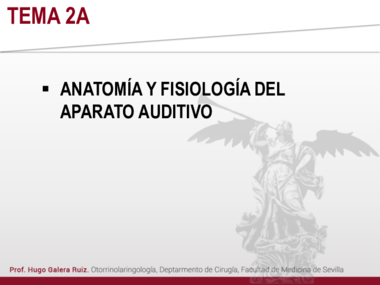 T2A. ANATOMIA Y FISIOLOGÍA AUDICIÓN(1).pdf