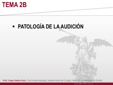 T2B. PATOLOGIA DE LA AUDICION.pdf