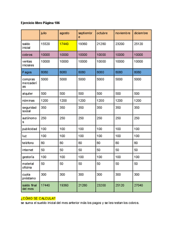 Ejercicio-plan-de-tesoreria.pdf