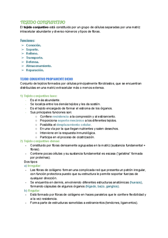 TEJIDO-CONJUNTIVO.pdf