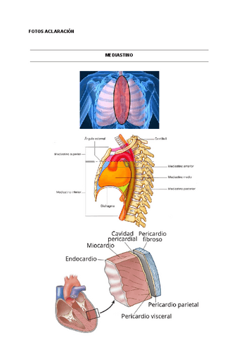 FOTOS-ACLARACION-tema-1.pdf