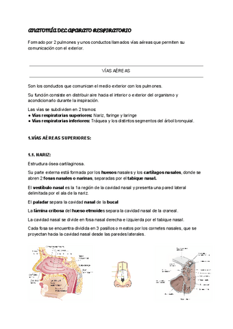 ANATOMIA-DEL-APARATO-RESPIRATORIO-2.pdf
