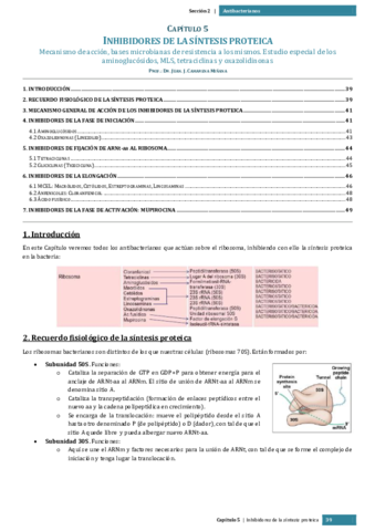 Capítulo 5 Inhibidores de la síntesis proteica.pdf