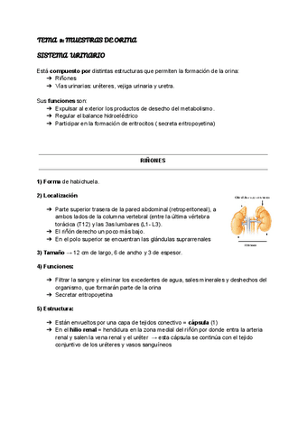 Tema-9-MUESTRAS-DE-ORINA.pdf