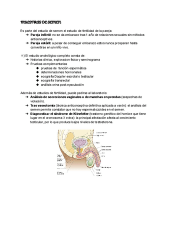 MUESTRAS-DE-SEMEN.pdf