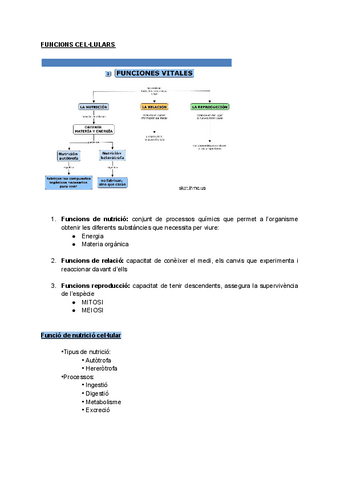 UF1NF1-FUNCIONS-CELLULARS.pdf