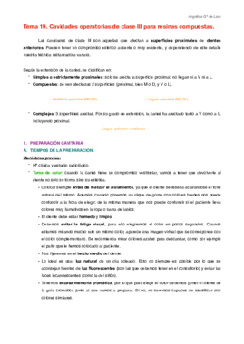 Tema 19.pdf