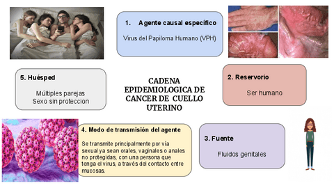 CADENA-EPIDEMIOLOGIA-DEL-VPH.pdf
