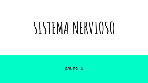 SISTEMA-NERVIOSO.pdf