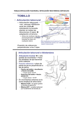 3-TOBILLO.pdf