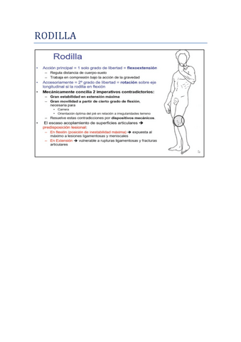 2-RODILLA.pdf