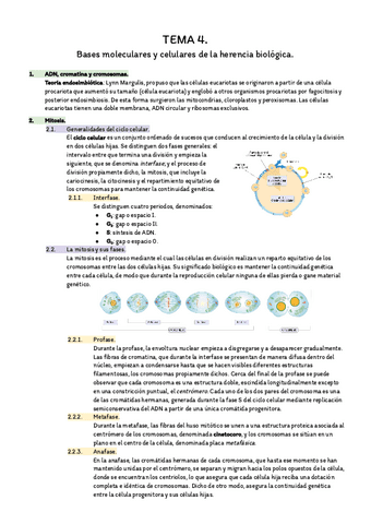 Resumen-temas-4-5-19-y-23.pdf