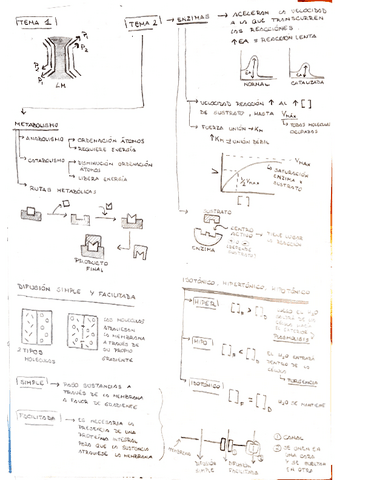 Bio-temas-1-8.pdf