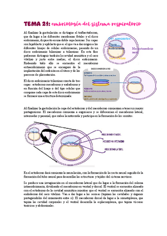 TEMA-21-22embriologia-traquea-pulmones.pdf