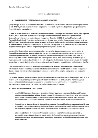 t6.Derecho-a-la-formacion.pdf
