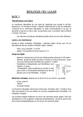 BIOLOGIA CEL.pdf