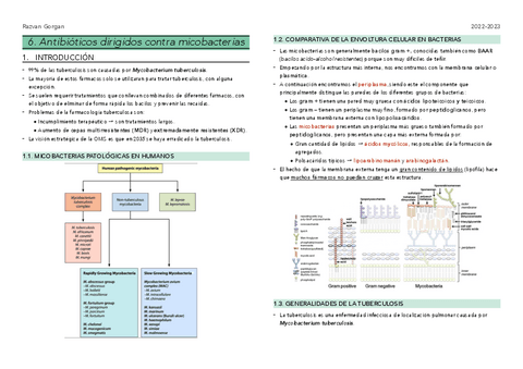 F6.-Anti-micobacterias.pdf
