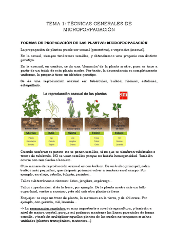 Apuntes-Temas-1-6-completos.pdf