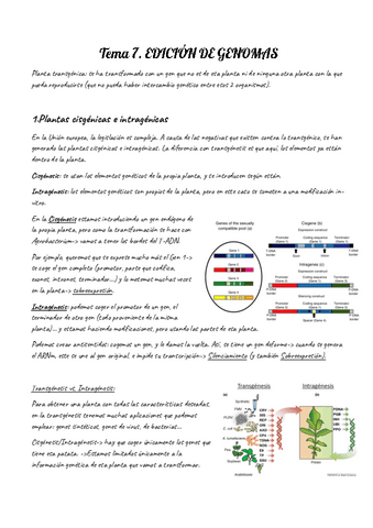 Temas-7-12-completos.pdf